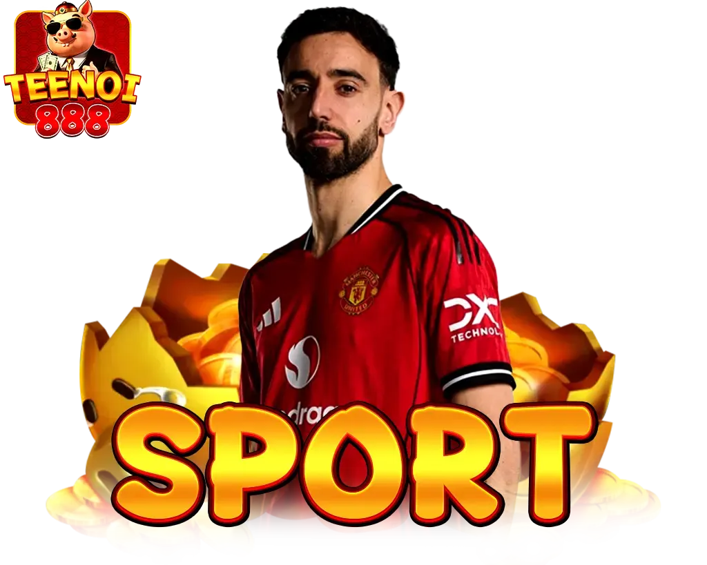 พนันกีฬาออนไลน์ แทงบอลออนไลน์ทุกลีกทั่วโลก ราคาน้ำดีที่สุด TEENOI888